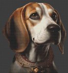 (image for) Beagle 3